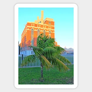 baby palm and the electricity museum Sticker